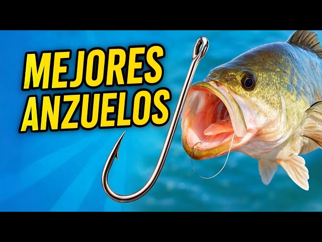 5 BEST HOOKS for FISHING in Mangroves and the Sea (Guaranteed!)