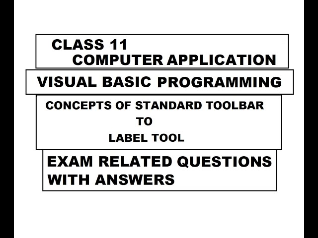 Class 11 Computer Application | Visual Basic Programming | Exam related questions with answers