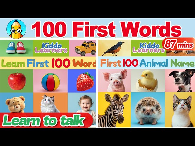 First 100 Words & Animals for Kids 🐶📚 | Ms Rachel Style Animated Read Aloud for Babies & Toddlers