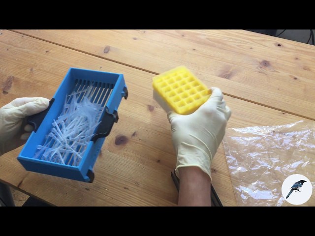 3D printable pipette tip sorting device 'Elster' for 200 µL pipet tips