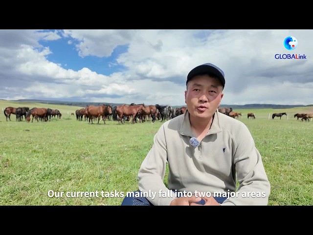 GLOBALink | China's Historic Shandan Horse Farm Turns to Racehorse Breeding