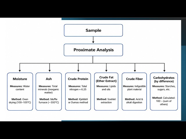 Proximate Analysis – The 6 Components of Food & Feed Testing