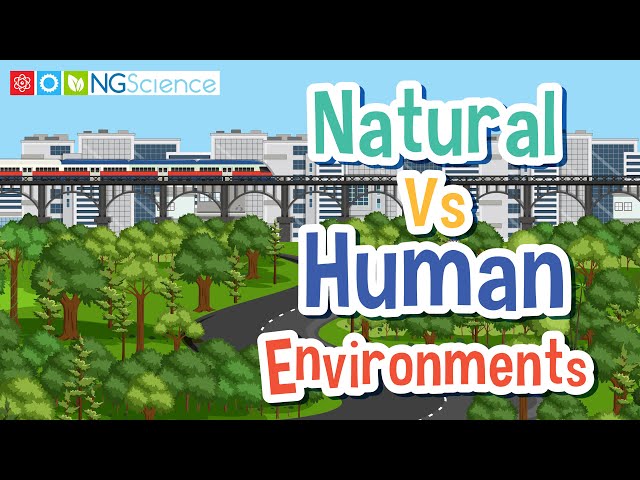 Natural Vs Human Environments
