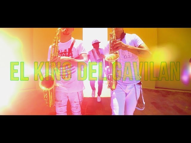 EL KING DEL GAVILAN - CHICOS DE BARRIO FT KINGS DEL WEPA