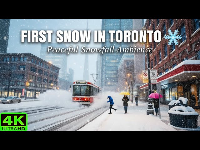 【4K】Toronto’s First Snowfall 2025 ❄️ | Downtown Snow Walk ASMR 🌨️ (November 2025)