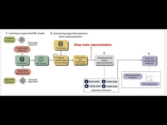 Benchmarking Beyond Statistics: Data-Driven Footprints for Explainable Black-Box Optimization