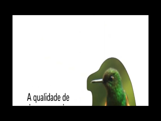 Imas para geladeira em PVC com qualidade de impressão fotográfica Visual Imãs