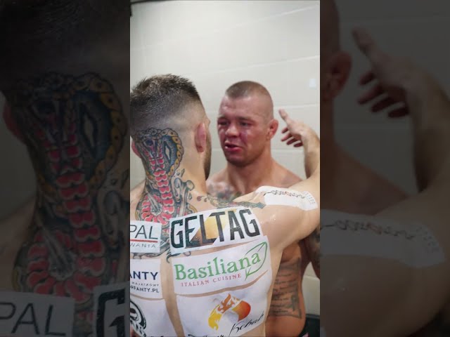 Niedźwiedź apologizes to Pawlik #shorts #ksw #mma