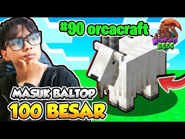 AKU MENDUDUKI 100 BESAR BALTOP DITYCOON KAMPUNG ELES!!! - KAMPUNG ELES TYCOON SERVER