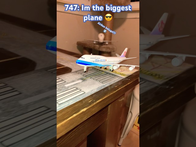 You can’t beat the AN-225 🛫🛬#aviation #an225 #antonov225 #avgeek #plane #big #biggest