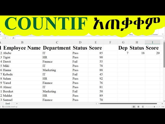 How to use the COUNTIF function in Excel /Excel in amharic/ ኤክሴል በአማርኛ