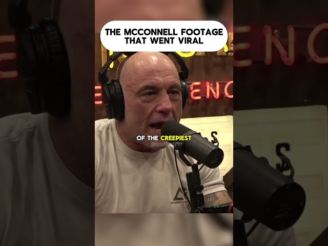 Joe Rogan Reacts to a Disturbing Moment in the Senate  #joerogan #jre