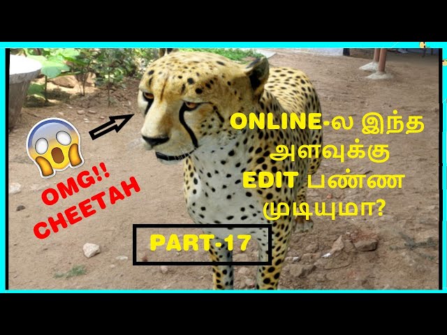 🔥😱Best 3D Online Editing Tool In Tamil-Sarathy Tech Tamil