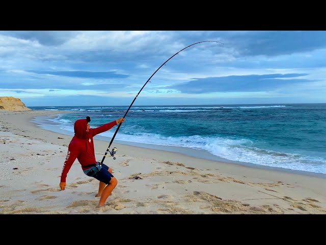 South Coast Beach Fishing 3.0