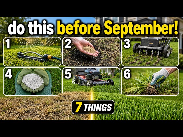 Your Lawn Will Die If You Don't Do These 7 Things Before September