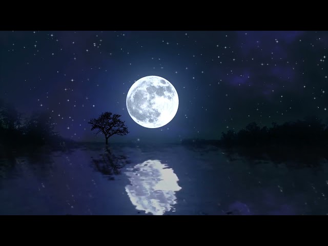 Night moon reflection, Animated Nature Background