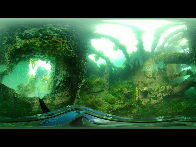 360 vr test low quality Puerto Madryn - Folias - Patagonia