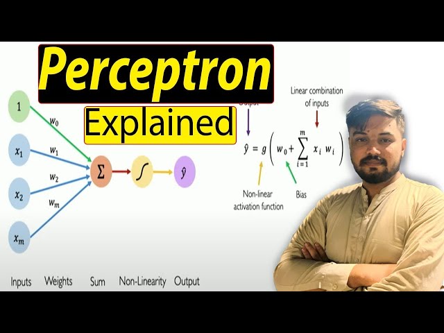 Perceptron Explained- The Foundation of Neural Networks - AI & Deep Learning Tutorial - Part 1