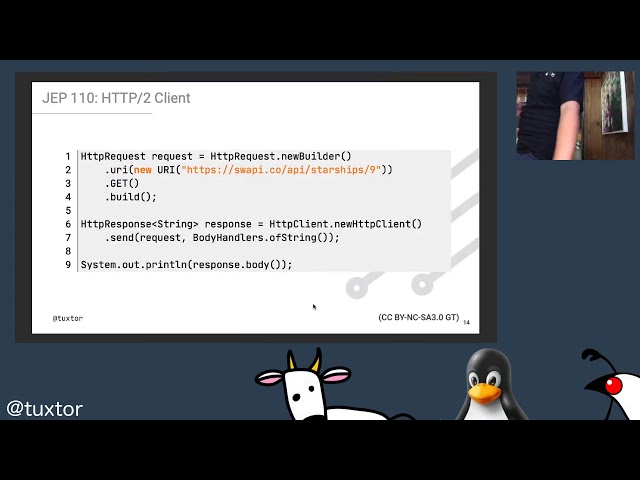 De Java 8 a Java 11 y 14