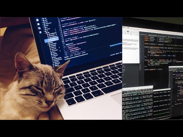 U_ R_ A-Coding Prodigy 🧠]💻