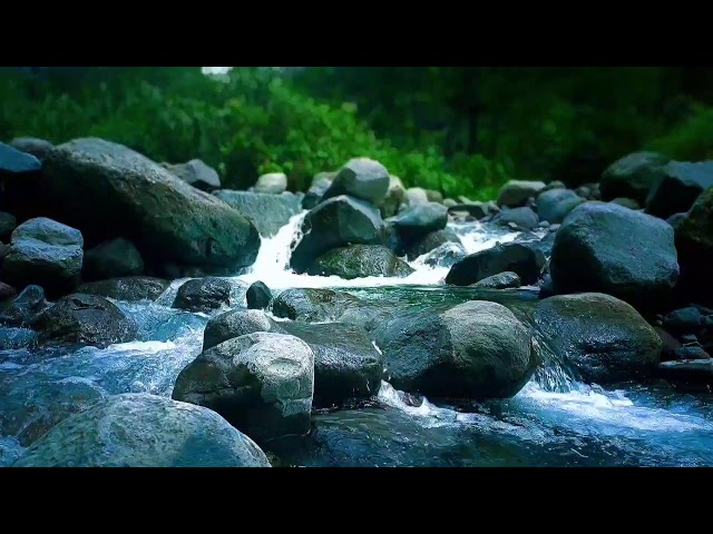 🌊 Gentle River Rapids ASMR Sounds for Deep Sleep, Relaxation & Stress Relief