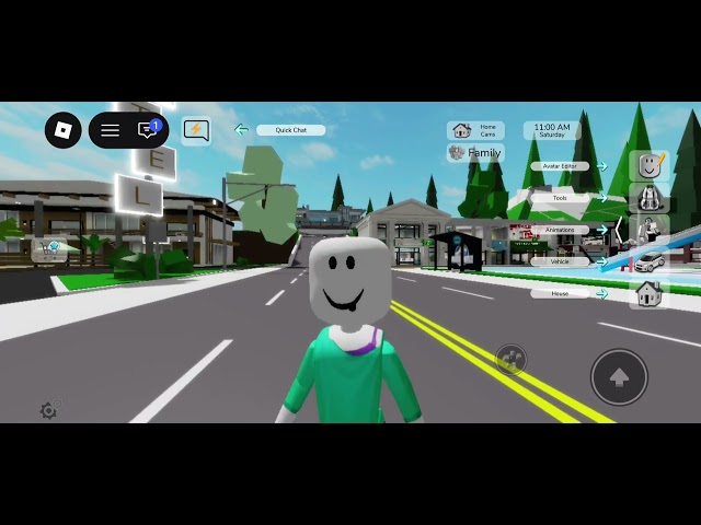 Playing Brookhaven in S26 Ultra Remote Test Lab????