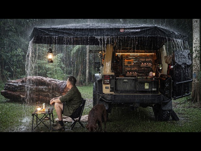 RELAXING Solo Camping in RAIN with my Dog ☔ Gloomy weather, Cozy Shelter, ASMR