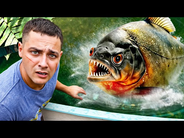 I Got GIANT Pet PIRANHAS…