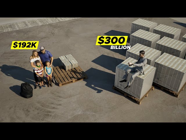 This is Wealth Inequality in Real Scale | Big Data Factor