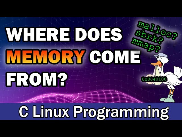The Origins of Process Memory | Exploring the Use of Various Memory Allocators in Linux C