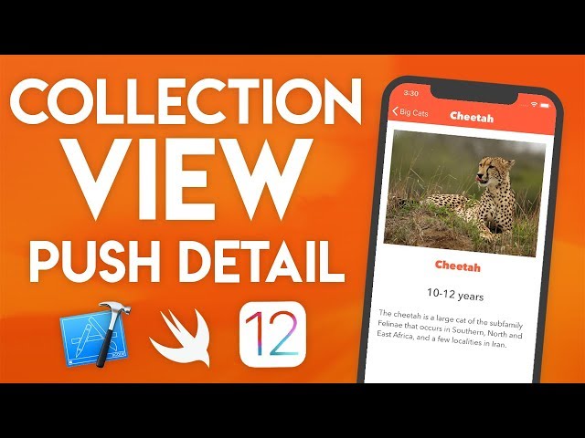 Swift 4.2 Xcode Tutorial - Collection View Part 3 - iOS 12 Geeky Lemon Development