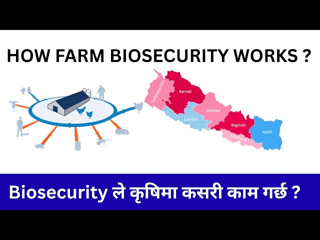 Farm Biosecurity Principles | रोग कसरी एक फार्मबाट अर्को फार्ममा सर्छ? (With  Diagram) | Session 2