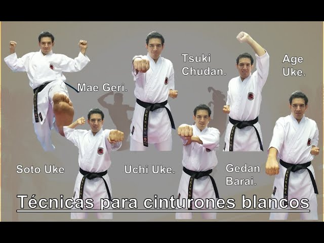 Primeras técnicas para los principiantes. Kihon Básico 💪🏻.