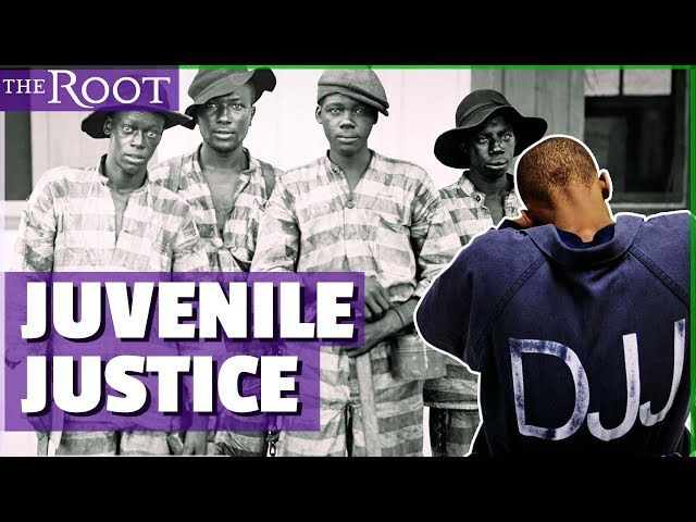 History of the Juvenile Justice System