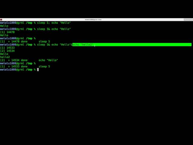 Putting Processes in the Background Part 2 Linux Shell Script Tutorial