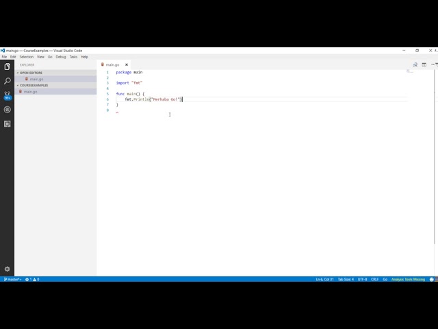 Go Programlama : İlk Go Programı