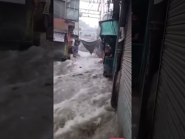 #trendingreelsvideo #trendingpost #samacharpatinews #trendingvideo #samacharpati #SafariExperience