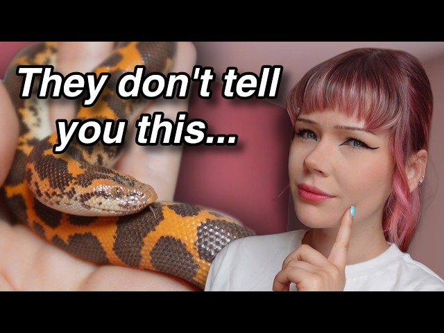 10 Things NO ONE is Telling You about Kenyan Sand Boas...