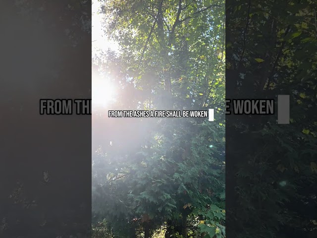 ~love these words by JRR Tolkien✨✨✨ #writer #tolkien #poetry #soul #empowerment #spiritual