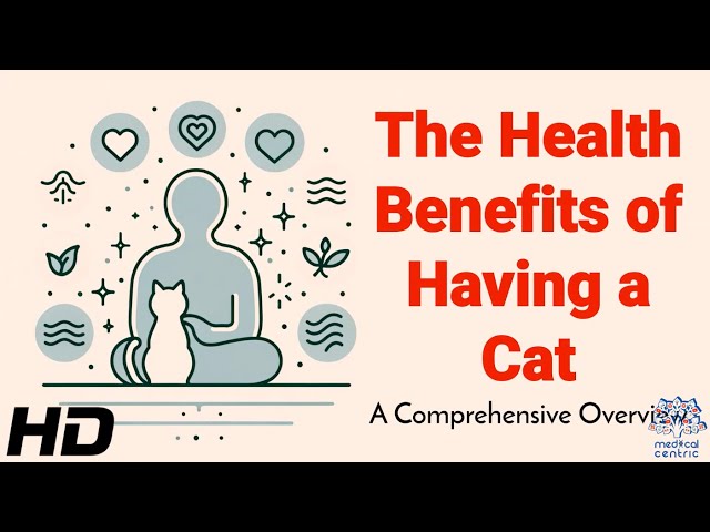 Can Cats Improve Your Health? What Science Says!