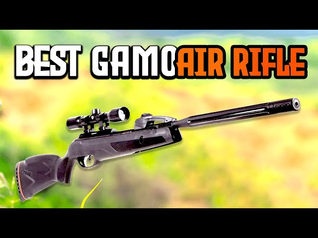 Top 5 Best Gamo Air Rifles in 2025 – Unleash Accuracy and Dominance 🎯🔥