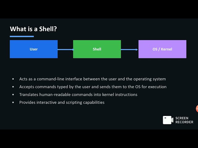Shell Scripting Tutorial for Beginners | First Program + Basics Explained
