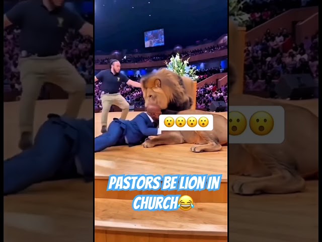 Pastor Brings REAL Lions Into Church to Reenact a Bible Story 😳 #teachingpastor