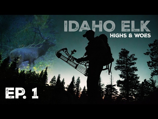 Backcountry Elk Hunting for 9 Days on Public Land | Part 1 of 2
