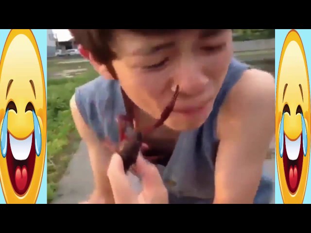 Best Funny Videos| Crazy Funny Videos ||Comedy Video in world || Best People Funny Clips