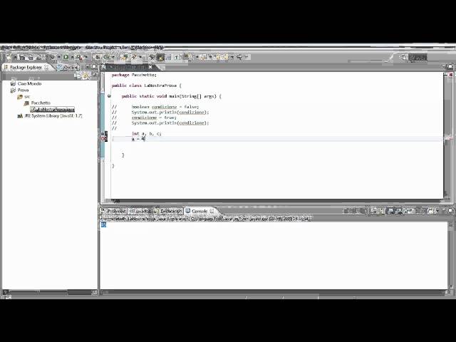 Corso Java Professionale - III lezione costrutti del linguaggio Java - Parte 3