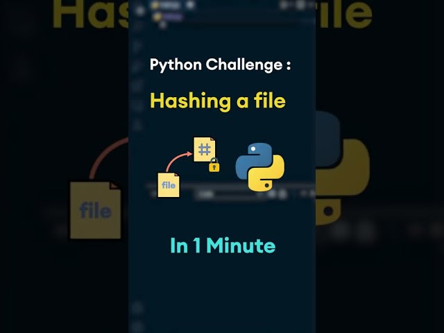 Python Challenge : Hashing a file in under 1 minute #Shorts 😮😲