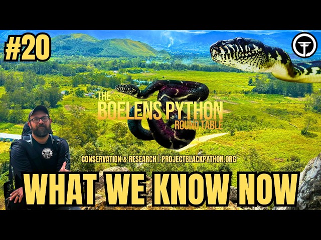 Episode 20: Boelen’s Pythons...What We Know Now | The Boelens Python Round Table Podcast