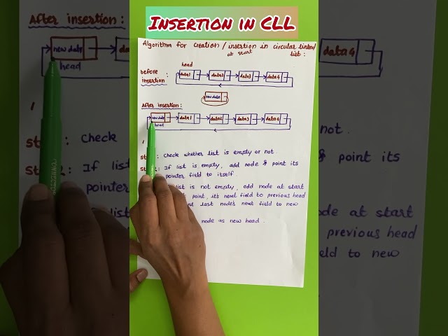 Algorithm for Insertion in Circular Linked List (CLL) #CLL #linkedlist #algorithm #insertion
