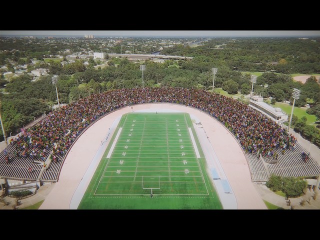 Ted Gormly Stadium tyFlow Crowd Simulation